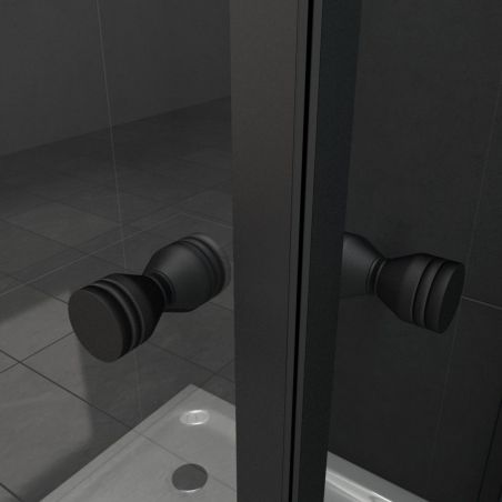 Cabina Ego-Nemo, 2 usi batante, negru mat, sticla 8 mm, 80-100 x 75-100 x 195 cm, cu sau fara cadita, Nano Easy Clean